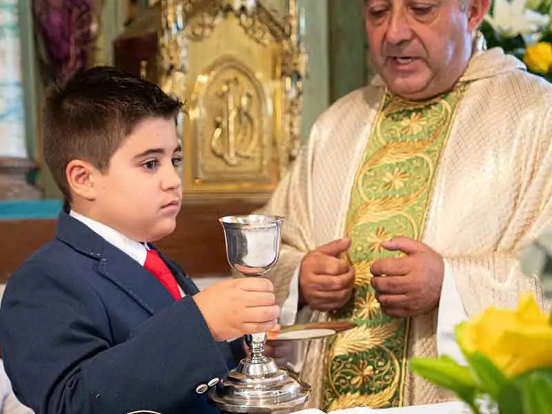el vino